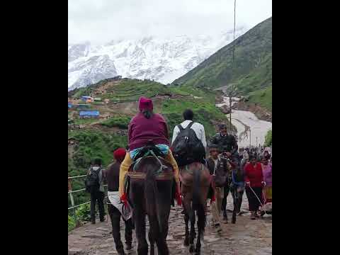 kedarnath yatra 2023