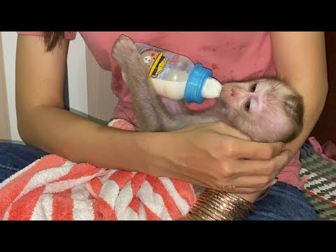 Cute baby boy sleeping and drinking milk  On mom,s arms