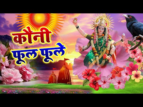 Live - कवना बने बोले कोयलिया |#DeviPachra | Kawna Bane Bole Koyaliya |#BhaktiGaana #sunita lokgeet