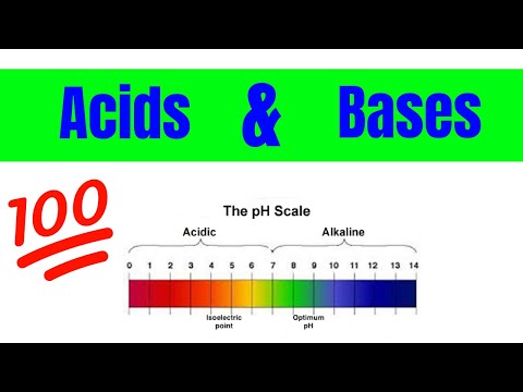 Properties of Acids and Bases | The Basics