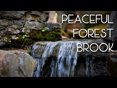 4 HOURS OF GENTLE FLOWING WATER | DEEP FOCUS, WORK, STUDY, RELAXATION