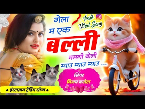 Instagram Trending Song || गेला म एक बिल्ली मिलगी बोली म्याऊ म्याऊ म्याऊ || Veersingh banota Vijay