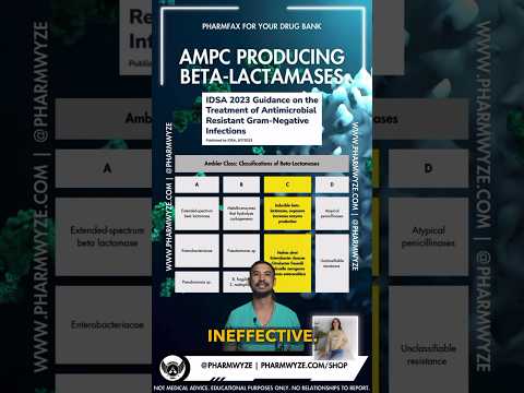 AmpC-producing Beta-lactamase resistance mechanism? #rxshorts