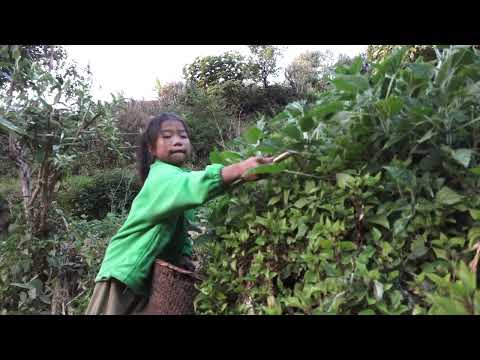 Village documentary || Nepali village