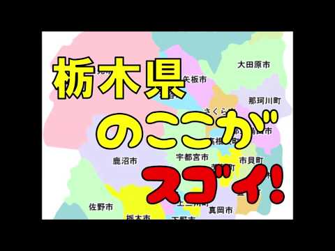 栃木県のここがスゴイ！日本全国ランキング TOCHIGI