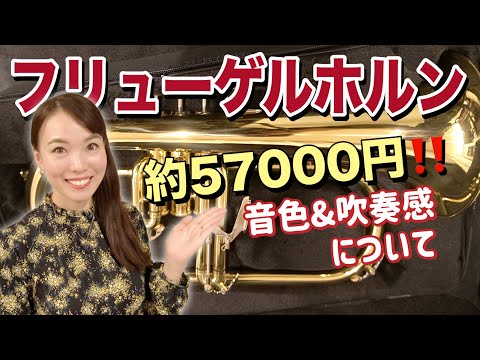 【フリューゲルホルン】MAXTONE FH-50L 音色と吹奏感について♪