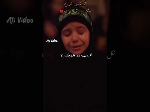 Sakina (SA) Ka Lasha Noha Status | Mir Hasan Mir Noha WatsApp Status 1446/2024 #shortvideo