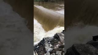 Heavy rainfall = Raging Waters! Subscribe for full video! #pigeonforge #heavyrain #smokymountains