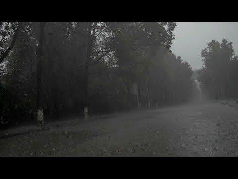 睡覺的雨聲   ⚡密集強雷暴+大暴雨，放鬆和睡覺的BGM，放鬆BGM，治愈BGM，雨聲BGM，背景音樂，BGMmusic，background music，sleep music，white nois