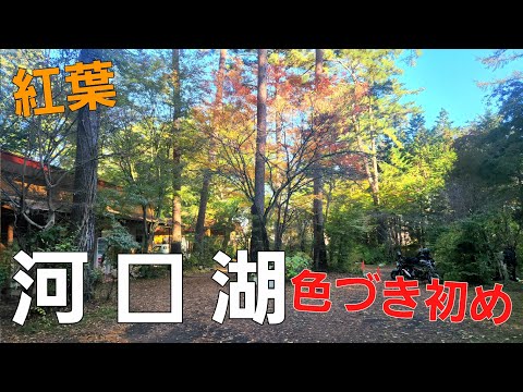 【山梨県】河口湖オートキャンプ場【ソロキャンプ】【山梨県キャンプ場】【秋キャンプ】【紅葉キャンプ】