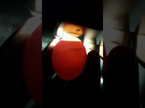 Chick Growth in Egg #Viral #Shorts