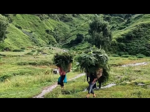 Exploring the Last Remnants of Himalayan Village Life in Nepal