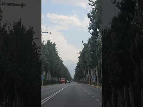 Bishkek, Kyrgyzstan, a city with such beautiful streets 길이 너무 이쁜 키르기스스탄 비슈케크