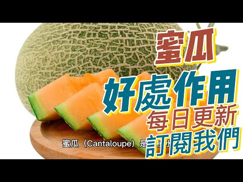 EP 193 蜜瓜（Cantaloupe）的好處與作用 豐富的維生素和礦物質 促進消化健康 抗氧化作