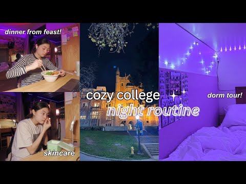 cozy college night routine + ucla dorm tour! 😴🌙