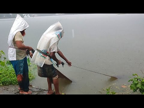 ঘুষ দিয়ে মাছ ধরা!দেখুন আজ কাল ঘুষ মানে খাদ্য না দিলে জালে মাছ আসেনা 🤣 | Amazing village fishing