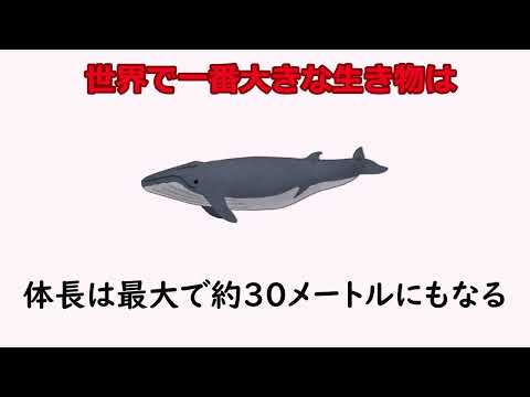 9割の人が知らない雑学35【明日の話のネタに】＃雑学　＃１分間