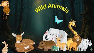 Wild Animals | Fun Facts for kids