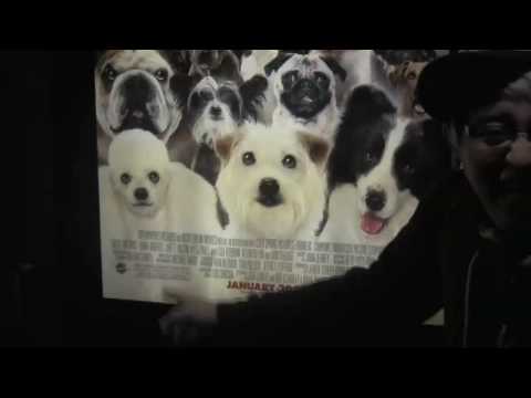 1077 The End Watchman Premiere - Jordin Loves Dogs!