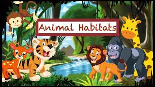 Animals and their Habitats!