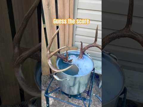 Antler stew! [guess the score] | N1 Outdoors #whitetail #hunting #deer