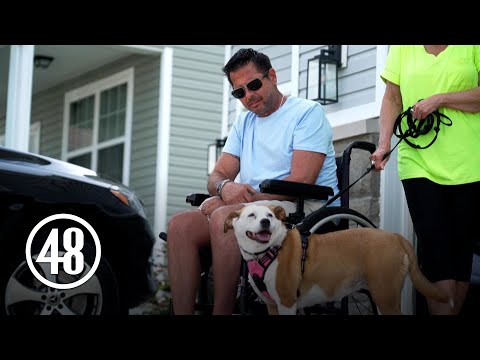 Tiki the dog helps man survive gunshot to the head