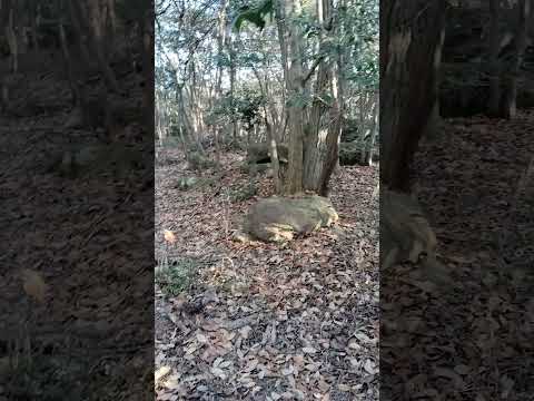 【山頂シリーズ】たつの市　金剛山山頂