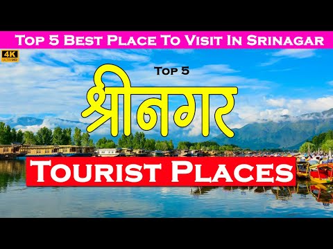 Srinagar complete travel guide | Top 5 Best Place To Visit In Srinagar | Srinagar Tourism