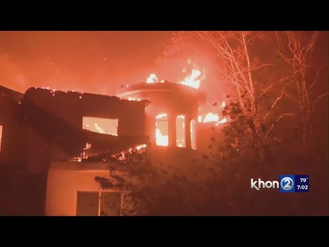 ‘We want to do our part,’ Hawaii businesses lead efforts to support LA fire victims