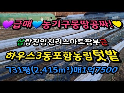 급매)삼랑진 임천리 농사짓기조은 농림지역 토지 텃밭매매 매1억7500만