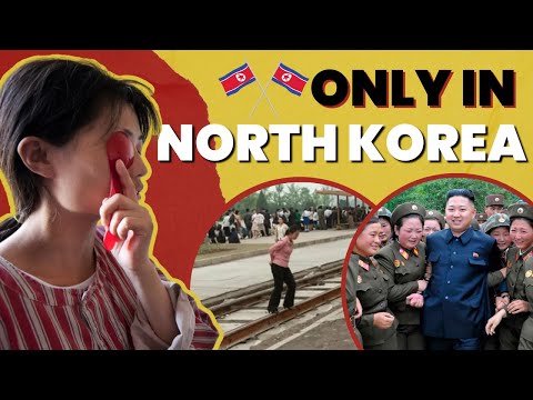 Weird Jobs in North Korea | FactStar