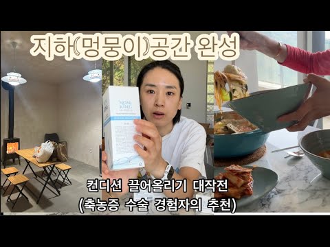 멍뭉이들은 어디서 지내나요?! 파이널리 지하(멍뭉이)공간 꾸미기 완성 / 나죽겠다 싶어야 챙기는 내몸 (코세척기, 흑염소액기스)