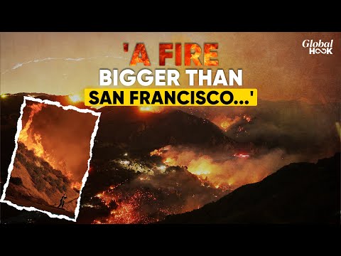 California Fire: Strong Winds Forecast Could Reverse Firefighting Progress; 24 Dead In Blaze