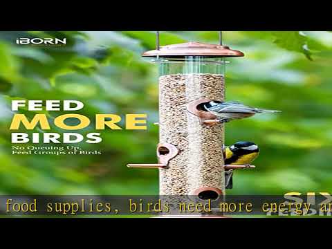 iBorn Metal Bird Feeders Brushed Copper Wild Bird Feeder for Outdoors Hanging All Metal Brushed Cop