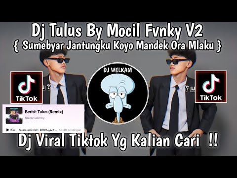 DJ TULUS - NIKEN SALINDRY | SUMEBYAR JANTUNGKU KOYO MANDEK ORA MLAKU | DJ VIRAL TIK TOK 2024 FYP !!