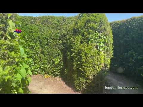 1270 Лабиринт Longleat Hedge Maze