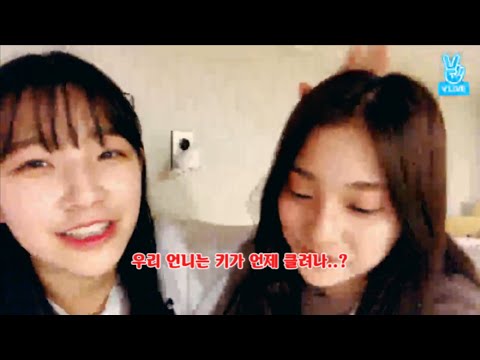 우리 언니 키가 언제 클려나..? [프로미스나인]