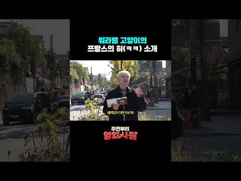 워라밸 고양이의 프랑스의 혀(ㅋㅋ) 소개 [주전부리 영업사원 / EP.3 프리미엄 가나]