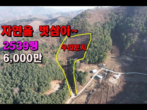 (정선 산골) 자연을 벗삼아~싼땅찿아 자연인하실분/2539평/6,000만/정선부동산매매/정선토지매매/정선자연인