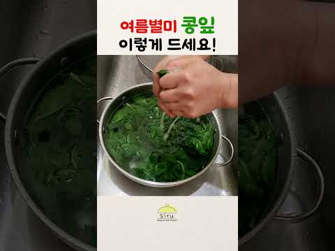 여름 별미 콩잎🌿 이렇게 드셔보세요! 콩잎된장무침