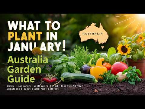 What to Plant in January for a Thriving Garden in Australia