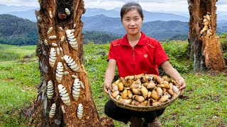 Harvest Coconut Weevils Goes To Market Sell - Daily Work Of Rural Women | Ella Daily Life