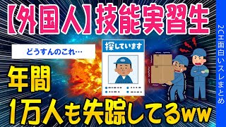 【2ch考えさせられるスレ】【外国人】技能実習生、年間1万人が失踪してるｗｗ【ゆっくり解説】