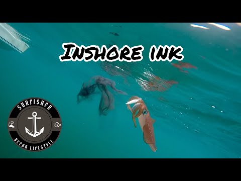 INSHORE INK (Catching squid in my backyard)🦑🦑🦑/ Pescaria de lula no oeste Australiano