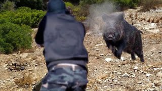 WHEN HUNTERS HUNT BOARS | Part 2