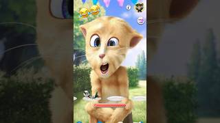 Cat fun #short Subscribe now for more#catvideos #shorts #funny