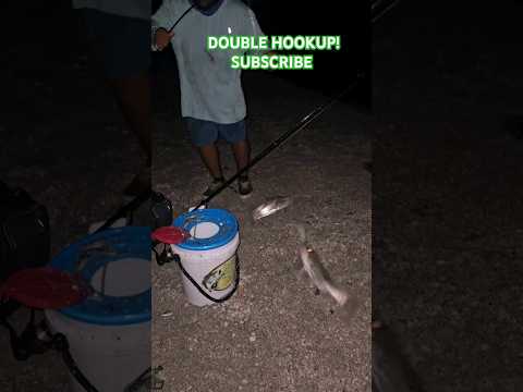 DOUBLE SNOOK!! #subscribe #saltwater #fishing #nightfishing #fyp #trending #snook #yozuri