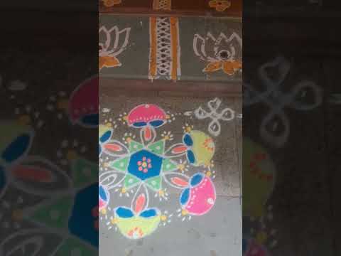 Margazhi#13 #margazhikolam #Margazhi  #kolam #margalikolam  #rangoli #simplekolam