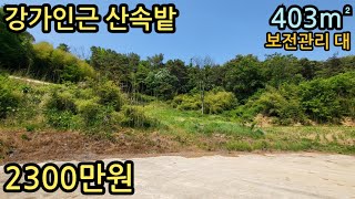 (매물번호13049) 2300만원 부여부동산 403㎡(122) 부여땅 부여군토지매매매물 시골땅 촌땅 공주시부동산 세종시부동산 주말농장 전원주택지 군산땅 서천땅 보령시땅