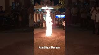 Kaarthigai Deepam #kaarthigai #kaarthikadeepam #karthigaideepam2022 #karthigaispecial#shortsfeed